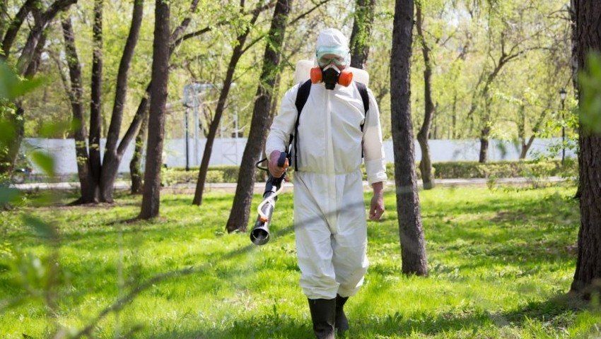 Уничтожение комаров в Красноярске