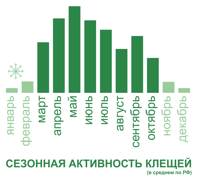 Акарицидная обработка от клещей территории и участков в Красноярске. Цены